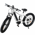 professional Electric Mountain Bike Brushless Motor Power Ebike